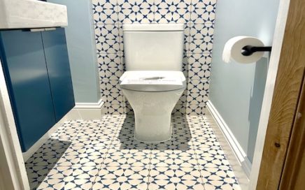 cloakroom_toilet_blue_walls